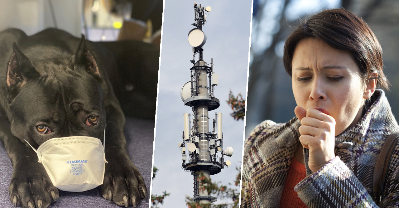 Myter om coronaviruset och covid-19