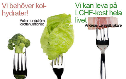 hur fungerar lchf hur fungerar lchf
