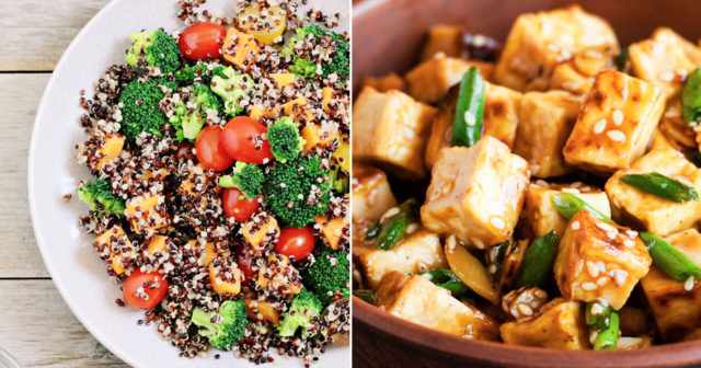fullvärdigt protein vegan fullvärdigt protein vegan