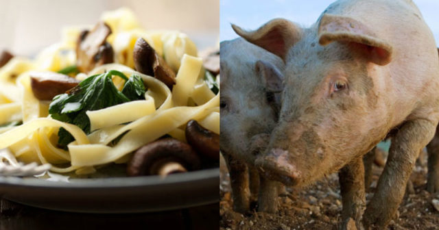 varför är det bra att äta vegetariskt varför är det bra att äta vegetariskt