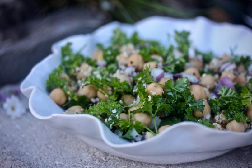 vilken diet är bäst vilken diet är bäst
